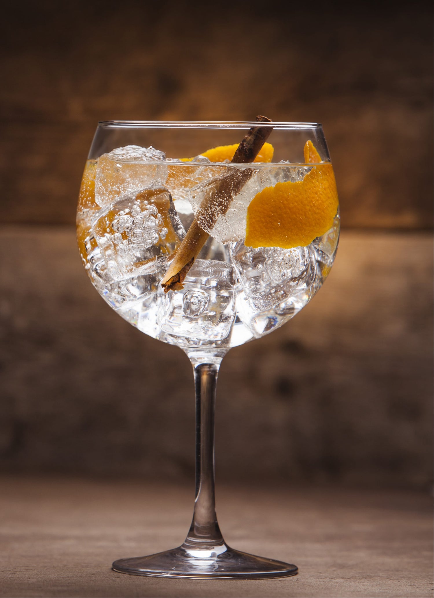 Gin and Tonic with cinnamon